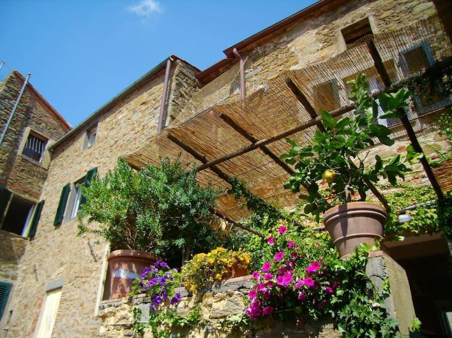 מונטיאנו Near The Sea Big Panoramic House 2 Terraces In Lovely Village מראה חיצוני תמונה